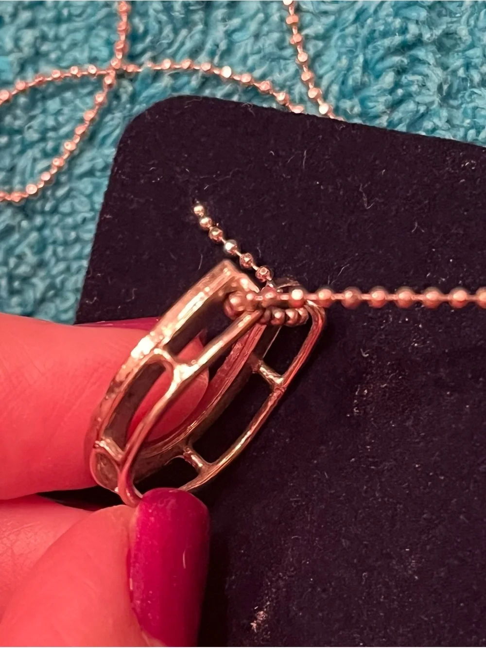 N/A delicate horseshoe
